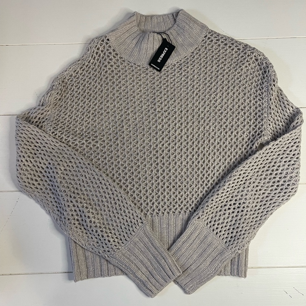 Express Knit Sweater